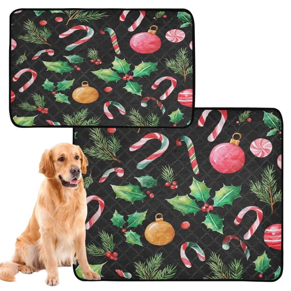 IAUYY Washable Pee Pads for Dogs Medium+Large Absorbent and Leak-Proof Non-Slip Reusable Puppy Pee Pads for Dogs Applicable to Playpen Potty Crate Lollipop Ornaments