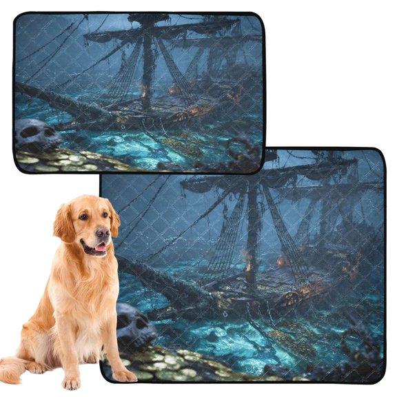 IAUYY Washable Pee Pads for Dogs Medium+Large Absorbent and Leak-Proof Non-Slip Reusable Puppy Pee Pads for Dogs Applicable to Playpen Potty Crate Skeleton Pirate Captain