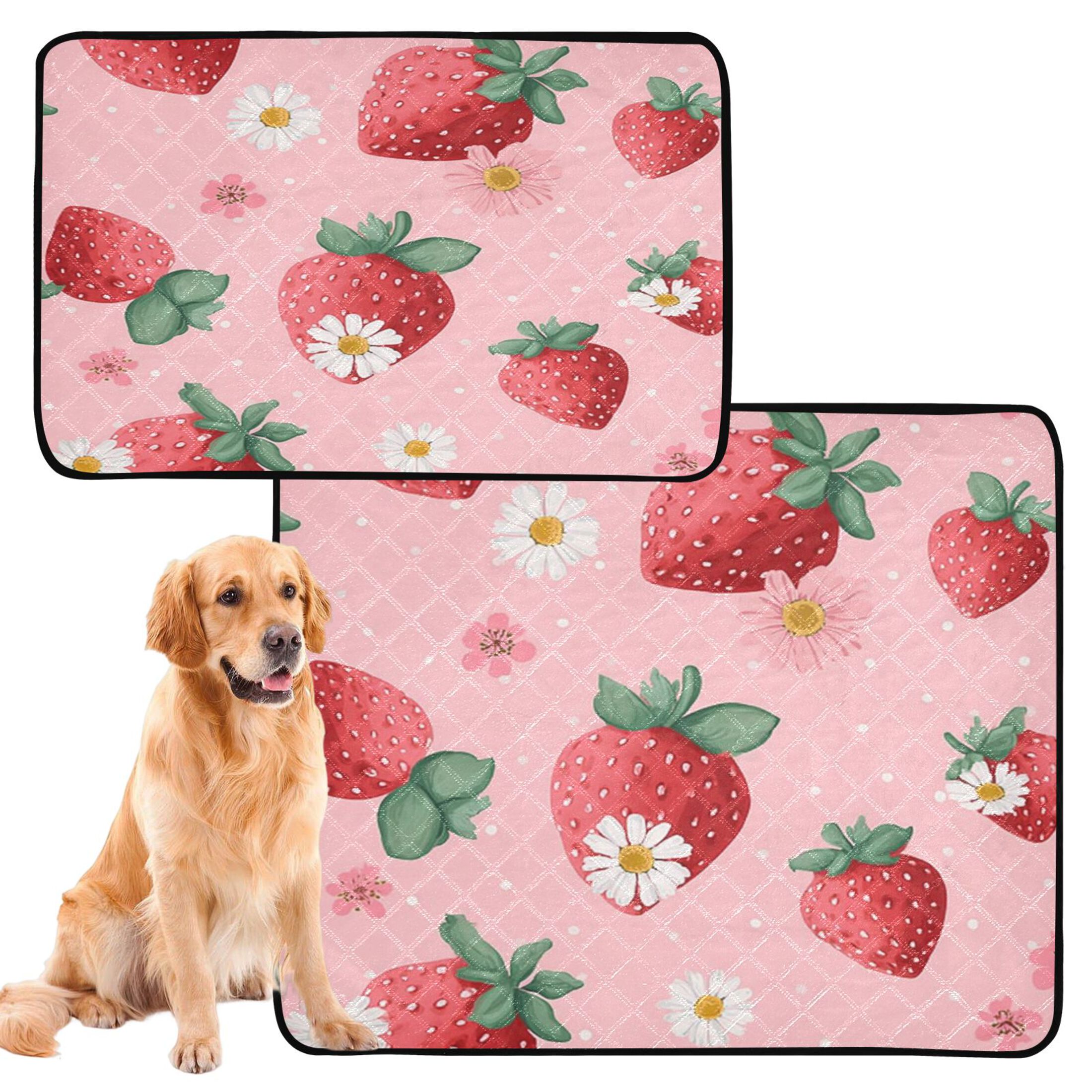 IAUYY Washable Pee Pads for Dogs Medium+Large Absorbent and Leak-Proof Non-Slip Reusable Puppy Pee Pads for Dogs Applicable to Playpen Potty Crate Strawberry
