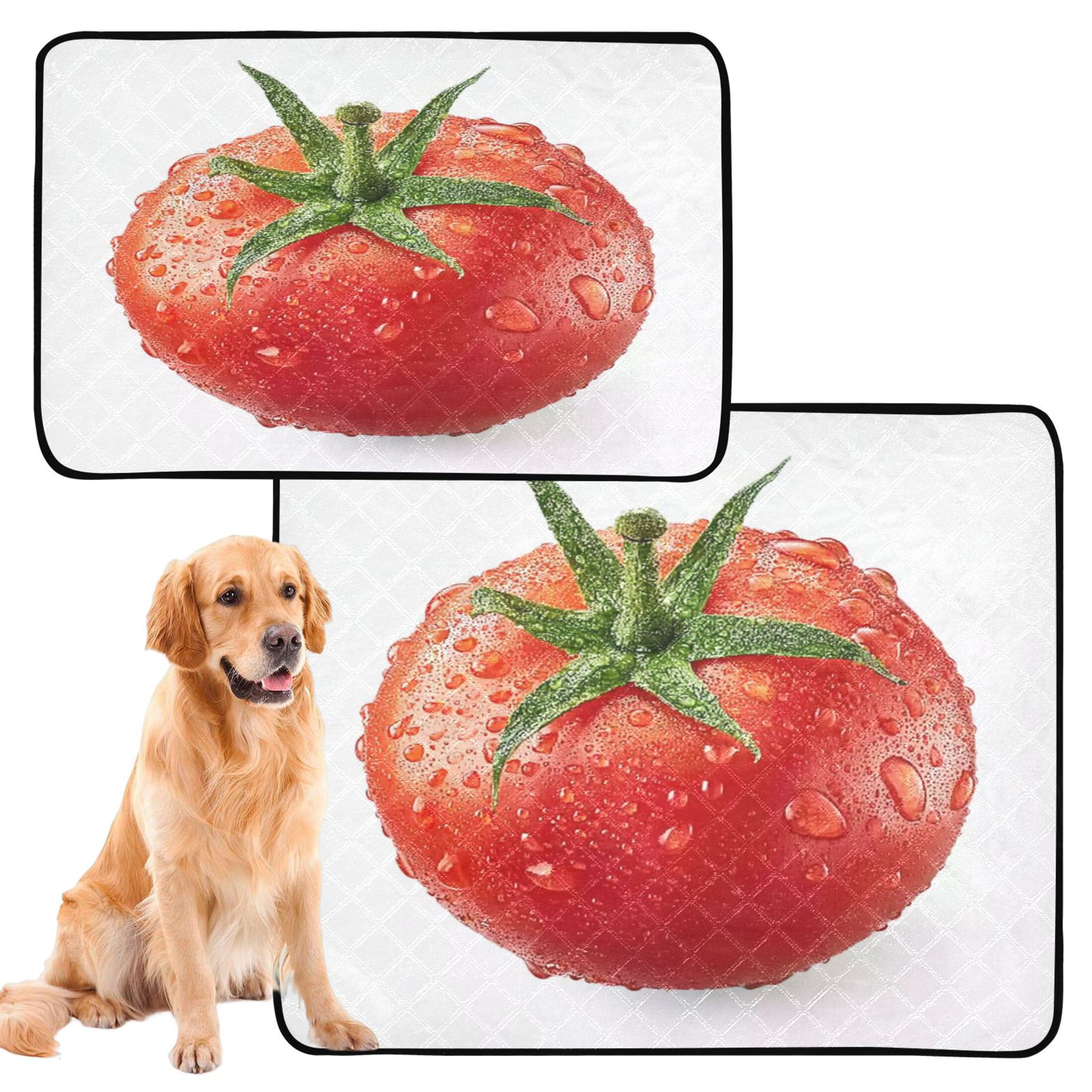 IAUYY Washable Pee Pads for Dogs Medium+Large Absorbent and Leak-Proof Non-Slip Reusable Puppy Pee Pads for Dogs Applicable to Playpen Potty Crate Tomato Details