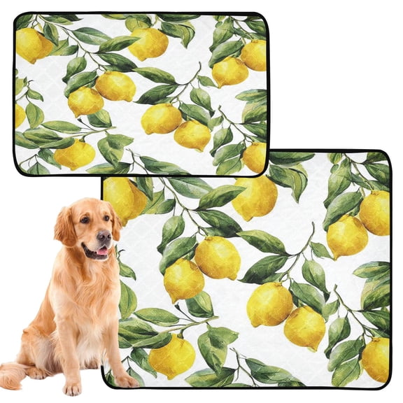 IAUYY Washable Pee Pads for Dogs Smallx3 Absorbent and Leak-Proof Non-Slip Reusable Puppy Pee Pads for Dogs Applicable to Playpen Potty Crate Lemon Paired with Green Leaves