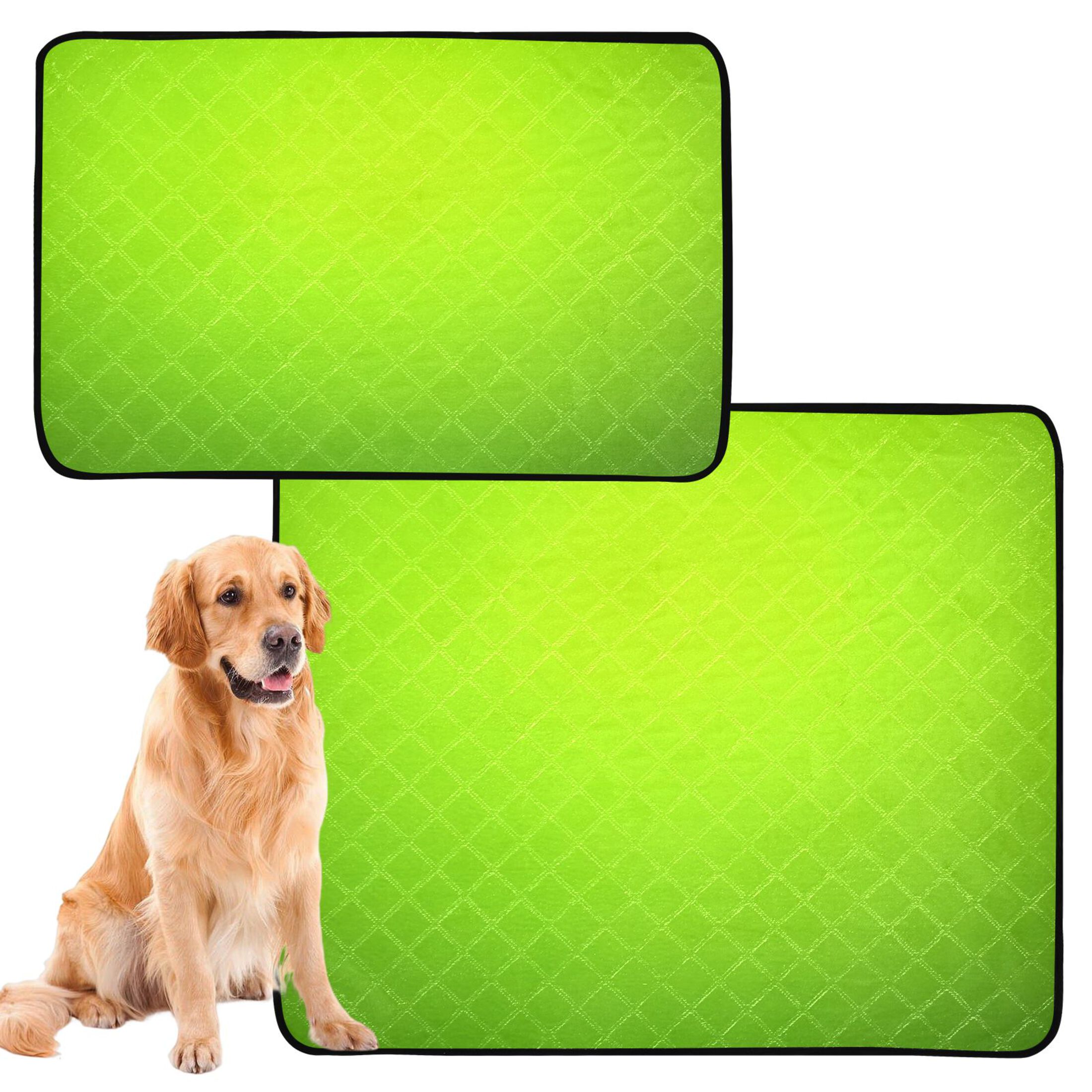 IAUYY Washable Pee Pads for Dogs Smallx3 Absorbent and Leak-Proof Non-Slip Reusable Puppy Pee Pads for Dogs Applicable to Playpen Potty Crate Lime Green Background