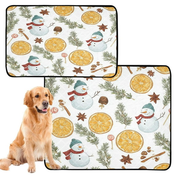 IAUYY Washable Pee Pads for Dogs Smallx3 Absorbent and Leak-Proof Non-Slip Reusable Puppy Pee Pads for Dogs Applicable to Playpen Potty Crate Orange-colored Fruit Slices