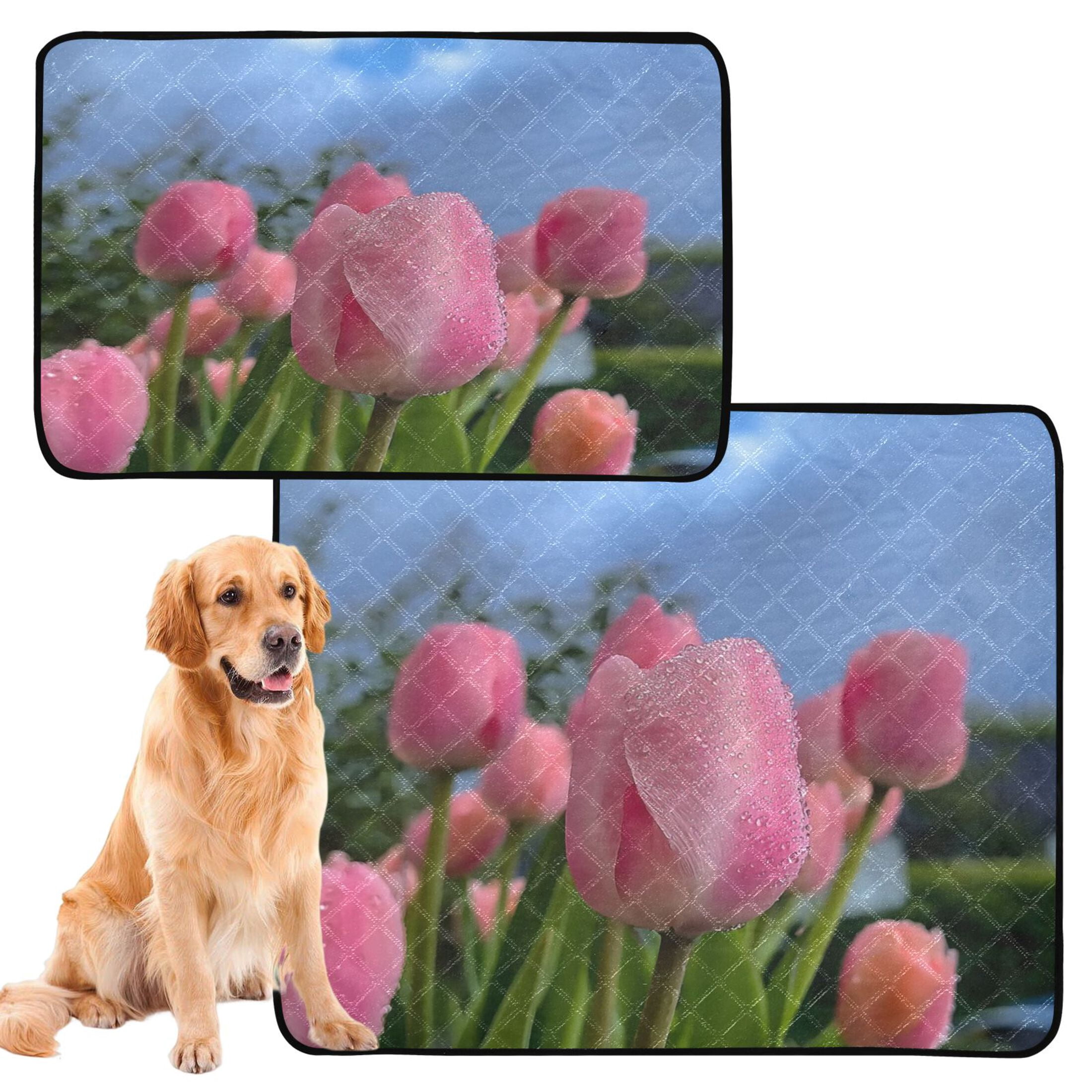 IAUYY Washable Pee Pads for Dogs Smallx3 Absorbent and Leak-Proof Non-Slip Reusable Puppy Pee Pads for Dogs Applicable to Playpen Potty Crate The Sky Garden's Scenery