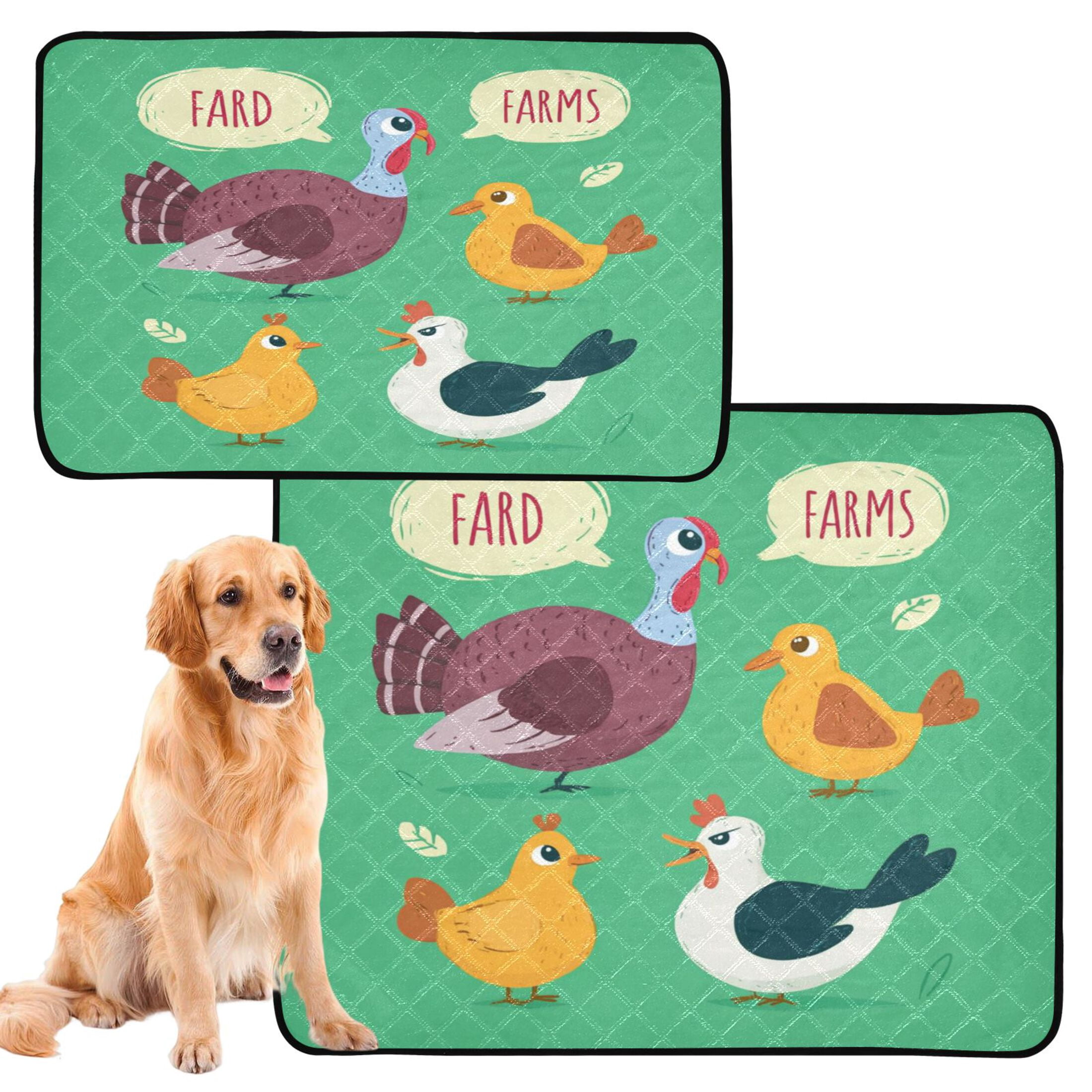 IAUYY Washable Pee Pads for Dogs Smallx3 Absorbent and Leak-Proof Non-Slip Reusable Puppy Pee Pads for Dogs Applicable to Playpen Potty Crate Speech Bubble