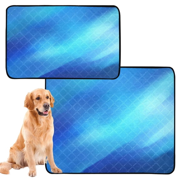 IAUYY Washable Pee Pads for Dogs Smallx3 Absorbent and Leak-Proof Non-Slip Reusable Puppy Pee Pads for Dogs Applicable to Playpen Potty Crate Vague and Smooth