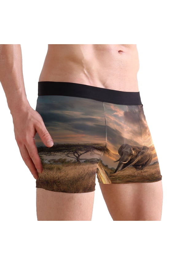 X-Large Men's Underwear Boxer Briefs 88% polyester+12% Spandex,Cool & Breathable 3-Piece Gift Box Set Men Briefs,Leopard Hunting Grassland Animals