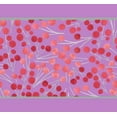thumbnail image 1 of IBA Indianbeautifulart Purple Berries Fruits Printed Ribbon&nbsp;Trim&nbsp;9 Yards Velvet Fabric Laces For Crafts Sewing Accessories 4 Inches, 1 of 2