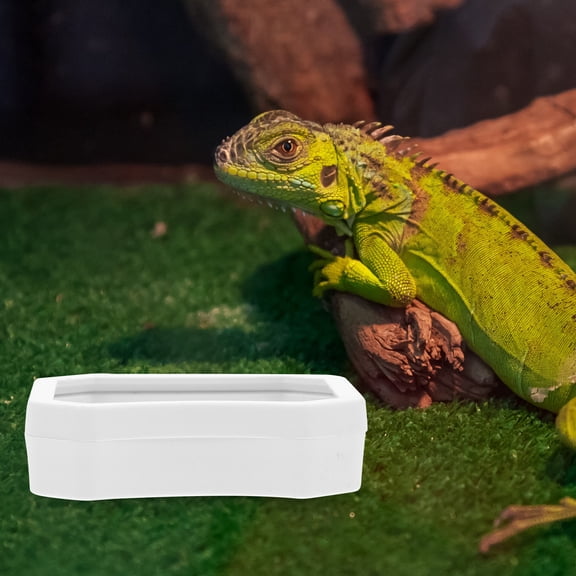 IBASETOY 10Pcs Small Reptiles Feeders Simulation Plastic Cave for Pet Sleeping and Hiding Black