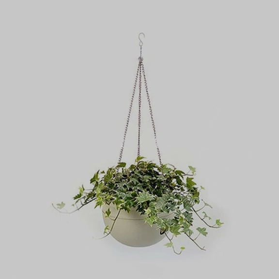 IBASETOY 16Pcs Multi Purpose Stainless Steel Self Rotating Hooks for Hanging Solar Lights and Flower Pots