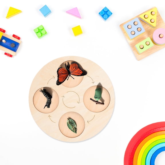 IBASETOY 1Pack Growth Cycle Panel for Model Collections with Wood and Synthetic Materials for Kids