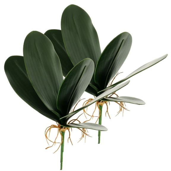 IBASETOY Lifelike Phalaenopsis Simulation Leaves Green Plastic 2Pcs for Home Beautification