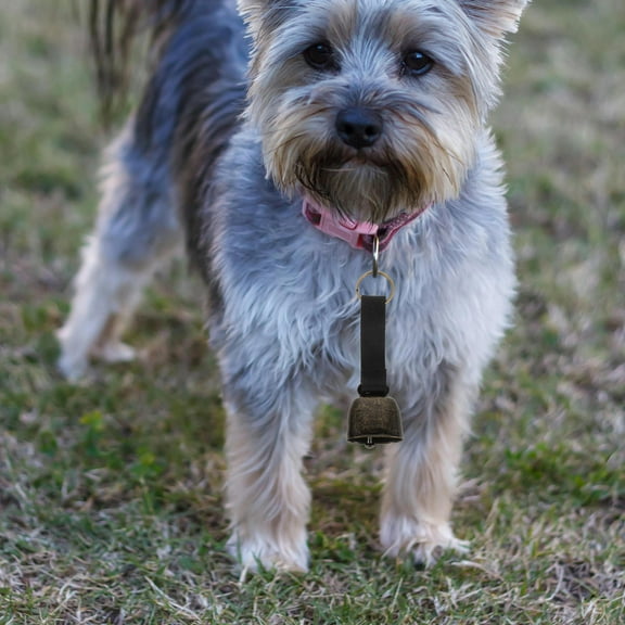 IBASETOY Iron Fabric Bear Bell 2Pcs For Pet Owners Exploring And Hiking