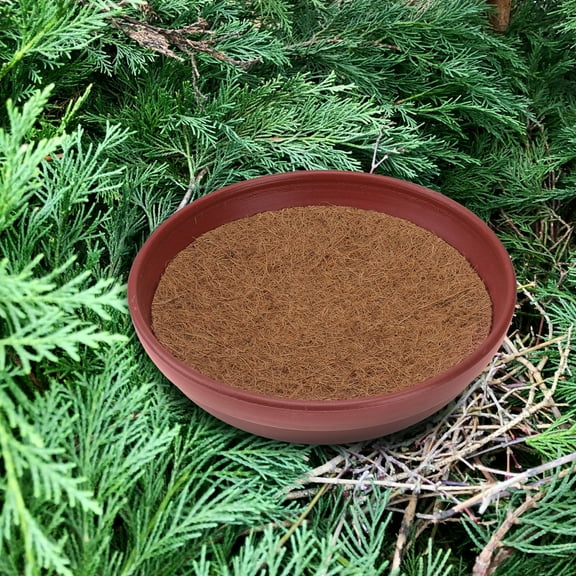 IBASETOY 3 Sets Pigeon Nesting Box Plastic Assorted Color for Pet Supplies