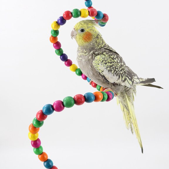 IBASETOY 3Pcs Climbing Toy for Pet Birds with Random Color for Indoor Play