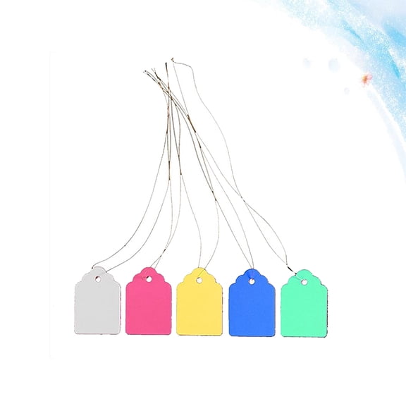 IBASETOY 5 Sets/500pcs Strung Marking Tags Plastic Mixed Color for Families Daily Use in Garden