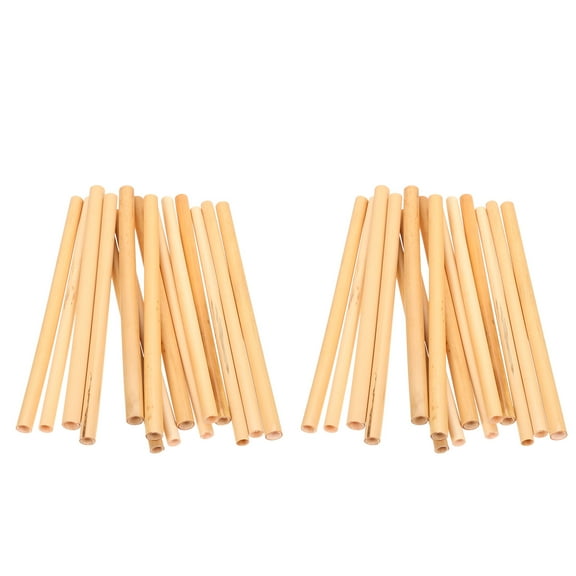 IBASETOY 50 Pcs Natural Reed Bee Tubes for Bee Storage Mating Pollination Durable Khaki Beekeeping Tools