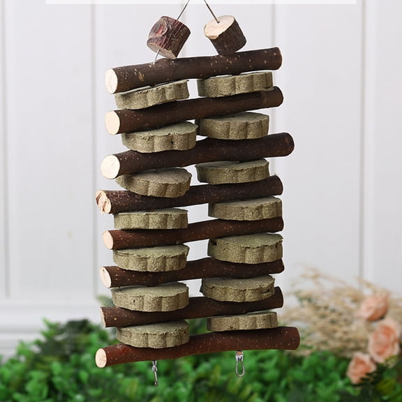 IBASETOY Apple Branch Pet Snacks for Guinea Pigs Chinchillas Squirrels Rabbits Hamsters Green Plastic Toys 1