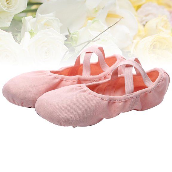 IBASETOY Adult Ballet Slippers Ballet and Footwear Cowhide Skin Color 1 Pair Breathable for Adults