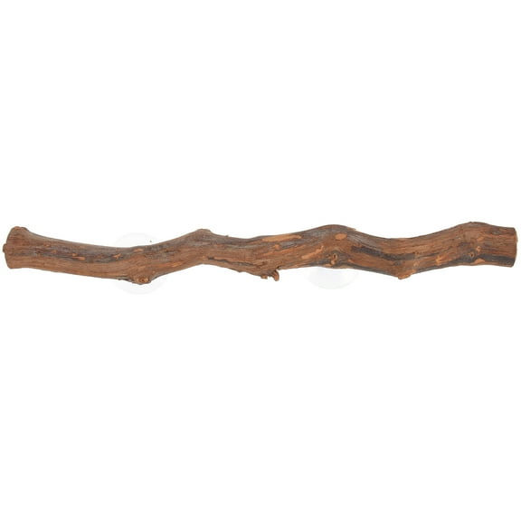 IBASETOY Bearded Dragon Accessory Wooden Tree Branch for Reptile Lizard Toy