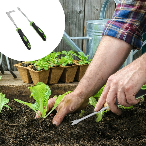 IBASETOY Dandelion Extraction Weeding Forks Garden Hand Weeder 2pcs