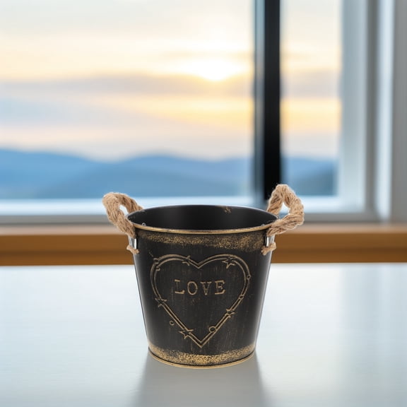 IBASETOY Iron Flower Pot with Handle Black Metal Planter for Home Office Garden Decor