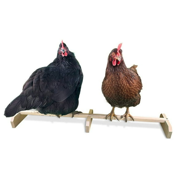 IBASETOY Wooden Chicken Perch Light Yellow Sturdy Roosting Bar for Large Birds and Pet Supplies