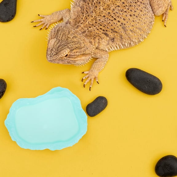 IBASETOY Wear Resistant Reptile Bowl For Snakes Round Resin 1Pack