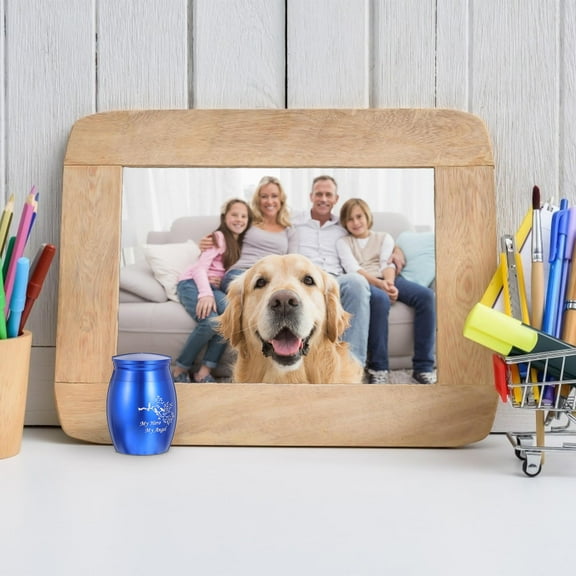 IBASETOY Pet Funeral Supplies Pet Cinerary Casket Simple Style 1Pack