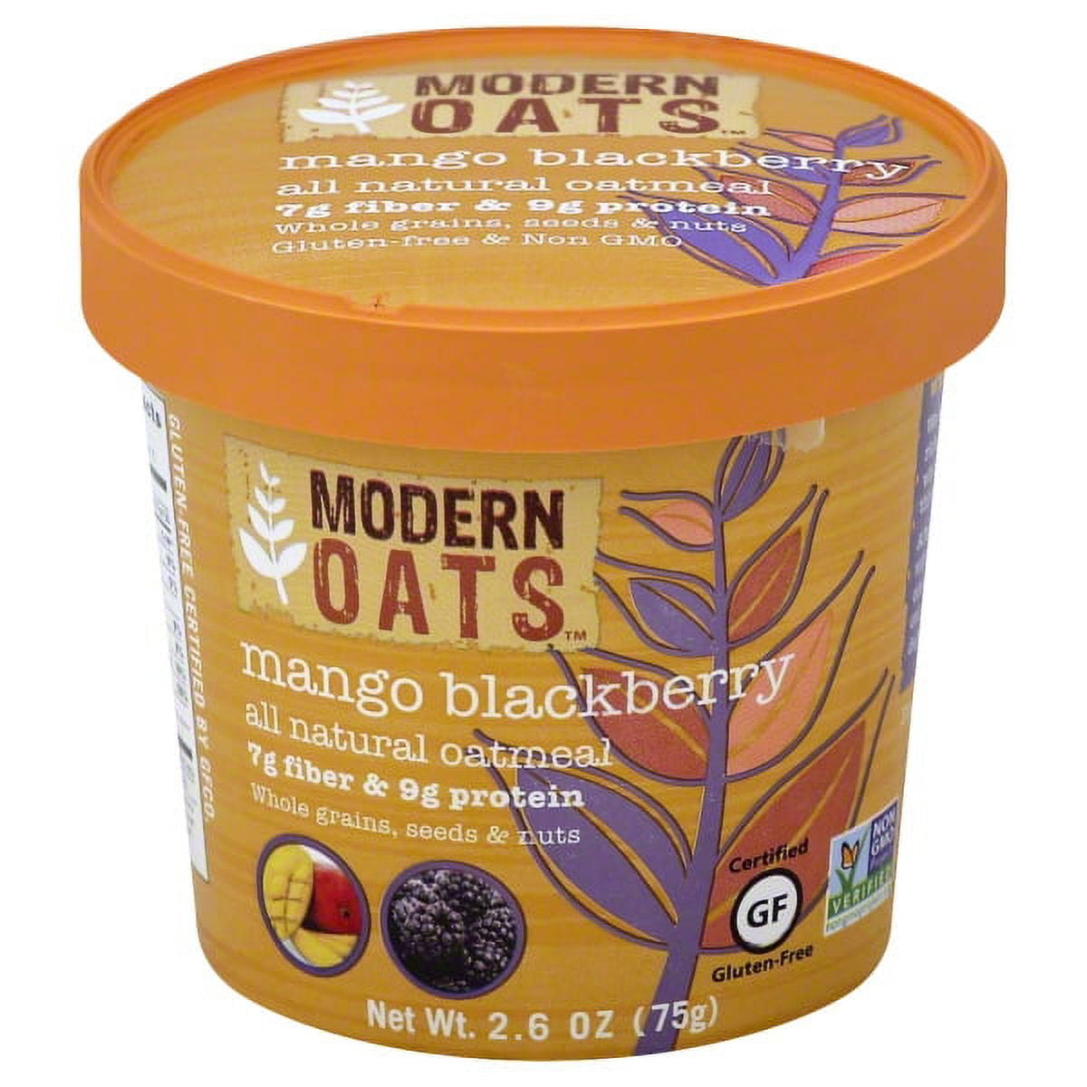 IBC Modern Oats Oatmeal, 2.6 oz