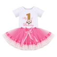 thumbnail image 1 of IBTOM CASTLE Baby Girl First Birthday Outfit Floral Lace Party Cake Smash Romper + Tutu Skirt for Photo Shoot 1 Year Hot Pink-My 1st Birthday, 1 of 8
