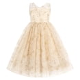 thumbnail image 1 of IBTOM CASTLE Flower Girls Dress for Wedding Round Neck Sleeveless Floral Embroidered Ruffle Tulle Dress Birthday Party Princess Pageant Gown with Bowknot 13-14 Years Beige, 1 of 7