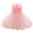 thumbnail image 1 of IBTOM CASTLE Flower Pageant Peplum Tutu Dress for Baby Girl Baptism Formal Party Wedding Pageant Dance Short Gown 6-12 Months Light Pink, 1 of 8