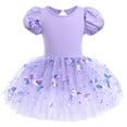 thumbnail image 1 of IBTOM CASTLE Girls Ballet Leotards Dance Wear Butterfly Shiny Sequins Dance Tutu Dress Puff Sleeve Keyhole Back Ballerina Costume 3-4 Years Purple, 1 of 8