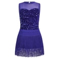 thumbnail image 1 of IBTOM CASTLE Girls Jazz Latin Sparkle Sequins Dance Outfit Crew Neck Sleeveless Bodysuit with Tassel Fringe Skirt Two Piece Set Blue, 1 of 7