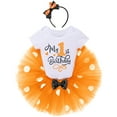 thumbnail image 1 of IBTOM CASTLE Toddler Baby Girls 1st 2nd Birthday Outfit Mini Polka Dots Romper Tutu Dress Mouse Ears Headband Princess Skirt Set for Photo Shoot 1 Year Orange, 1 of 8