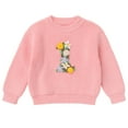 thumbnail image 1 of IBTOM CASTLE Toddler Baby Girls 1st Birthday Outfit Boho Embroidery One Sweater Top Knit Pullover Sweatshirt Fall Winter Clothes 1 Year Pink 1st Flower, 1 of 8