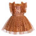thumbnail image 1 of IBTOM CASTLE Toddler Baby Girls 1st Birthday Outfit Princes Dress with Diaper Cover Lace Ruffles Romper Tutu for Cake Smash Photo Shoot 12-18 Months Brown Deer, 1 of 8