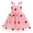thumbnail image 1 of IBTOM CASTLE Toddler Baby Girls Birthday Party Princess Tutu Dress Floral Backless Ruffle Tulle Dresses for Cake Smash 2-3 Years Pink Strawberry, 1 of 8