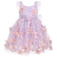 thumbnail image 1 of IBTOM CASTLE Toddler Baby Girls Butterfly Dress Princess Embroidered Flutter Sleeve Pageant Wedding Birthday Party Tulle Tutu Dress 18-24 Months Purple & Pink, 1 of 8