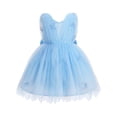 thumbnail image 1 of IBTOM CASTLE Toddler Baby Girls Shiny Butterfly Tutu Dress Princess Birthday Party Pageant Flower Girl Wedding Tulle Dresses 2-6T Blue, 1 of 7