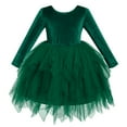 thumbnail image 1 of IBTOM CASTLE Toddler Baby Girls Velvet Tutu Dress Bowknot Ruffle Tulle Princess Christmas Birthday Party Dress Fall Winter Clothes 2-3 Years Green, 1 of 8