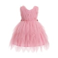 thumbnail image 1 of IBTOM CASTLE Toddler Flower Girl Dress Baby Butterfly Ruffle Tulle Tutu Dress Princess Birthday Party Pageant Formal Wedding Prom Gown 18-24 Months Pink, 1 of 7