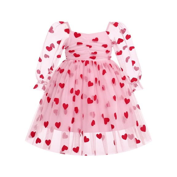 IBTOM CASTLE Toddler Girl Birthday Dress Floral Confetti Tulle Formal Wedding Party Long Sleeve Dresses for Cake Smash Photo Shoot 18-24 Months Pink Heart