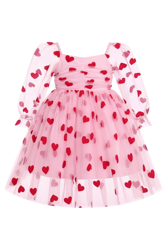 Toddler Girl Birthday Dress Floral Confetti Tulle Formal Wedding Party Long Sleeve Dresses for Cake Smash Photo Shoot 5-6 Years Pink Heart