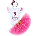thumbnail image 1 of IBTOM CASTLE Toddler Girls 1st 2nd 3rd Birthday Outfit Princess Polka Dots Ruffle Tutu Skirt Mouse Headband Cake Smash Party Clothes Set 2 Years Hot Pink, 1 of 8