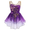 thumbnail image 1 of IBTOM CASTLE Women Ice Figure Skating Dress Ballet Dance Leotard Gymnastics Sequin Embroidery Gradient Chiffon Dress Dancewear L Purple, 1 of 8