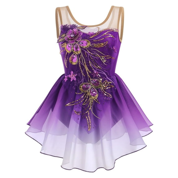 IBTOM CASTLE Women Ice Figure Skating Dress Ballet Dance Leotard Gymnastics Sequin Embroidery Gradient Chiffon Dress Dancewear S Purple