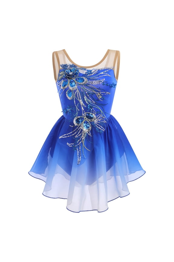 Women Ice Figure Skating Dress Ballet Dance Leotard Gymnastics Sequin Embroidery Gradient Chiffon Dress Dancewear S Royal Blue