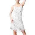 thumbnail image 1 of IBTOM CASTLE Women's Flapper Dress 1920s Sequin Tassel Latin Party Cocktail Dress Ballroom Dance Costume Vintage Fringe Dress M White + Silver, 1 of 8